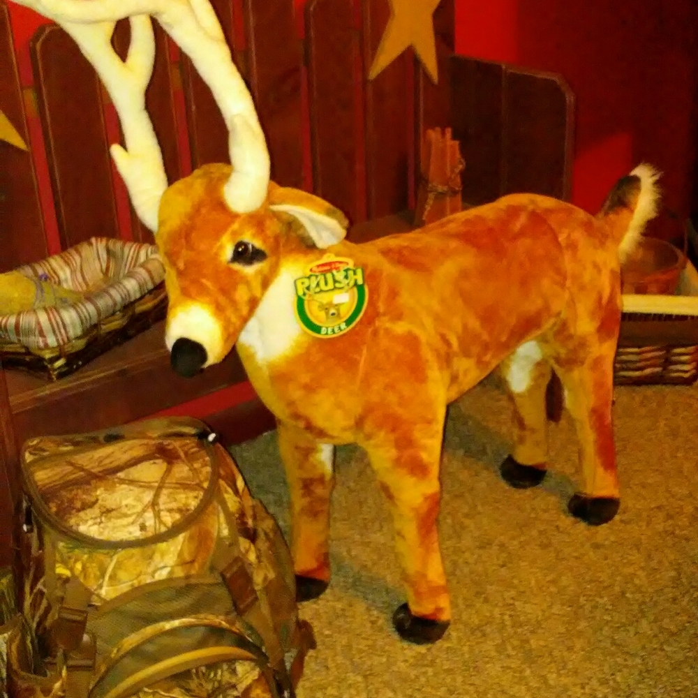 Stuffed Animal